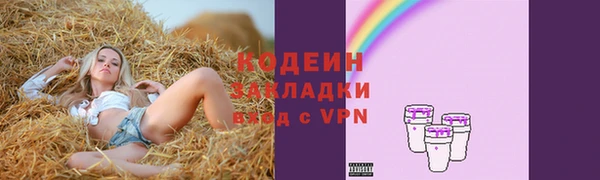 гашик Абаза