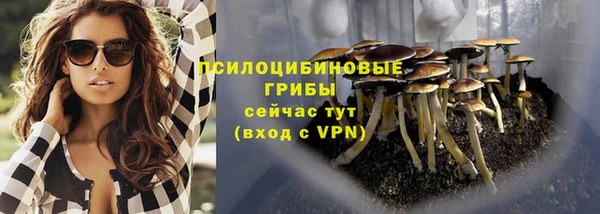мескалин Алексеевка